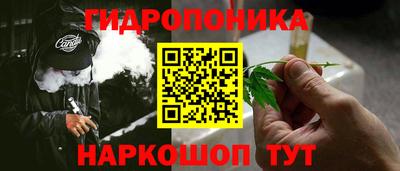 соль ск Кулебаки
