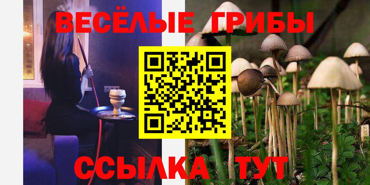 Псилоцибиновые грибы GOLDEN TEACHER  Галлюциногенные грибы GOLDEN TEACHER  Джанкой  что такое   Вход с VPN 