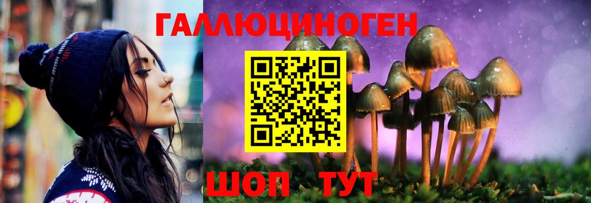 Псилоцибиновые грибы GOLDEN TEACHER Джанкой